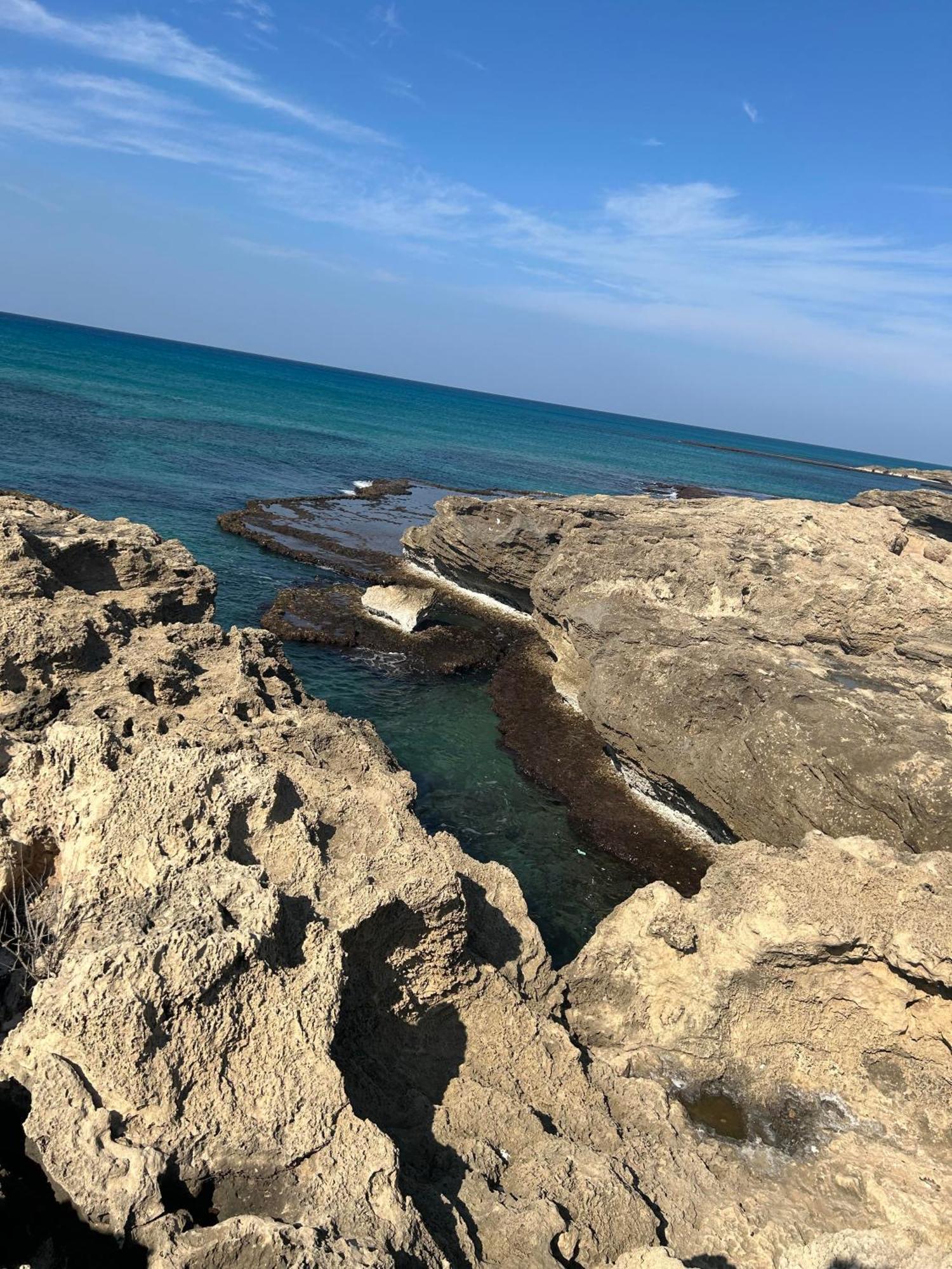 The Turquoise Suite On The Sea Trail, עתלית מראה חיצוני תמונה